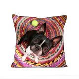 Cykochik Custom Photo eco-friendly vegan throw pillow - Boston Terrier Front